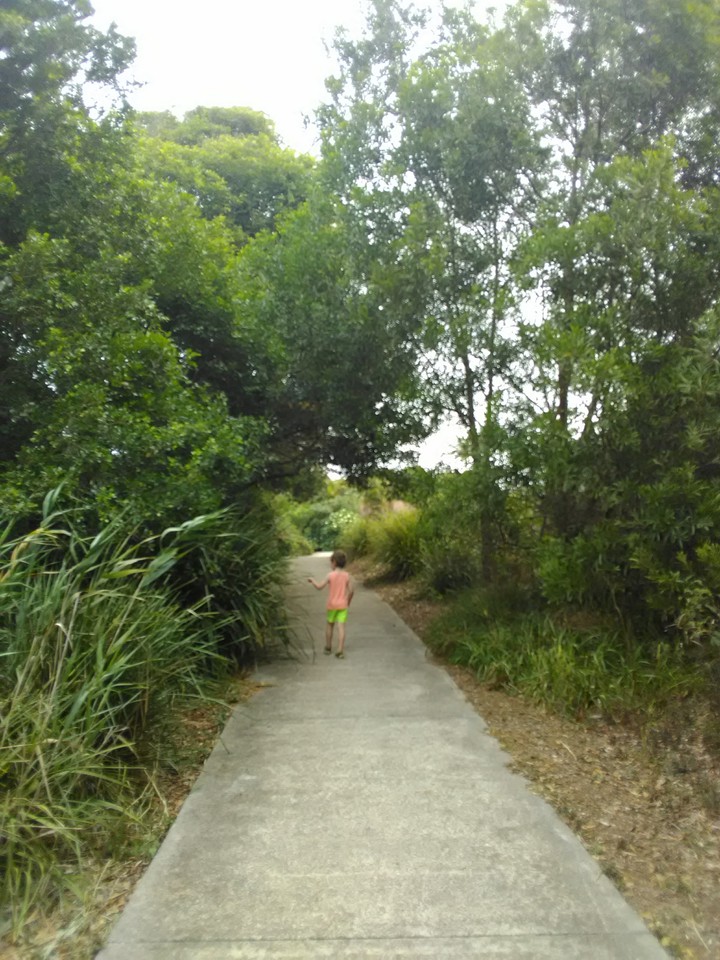 Mid-day stroll
