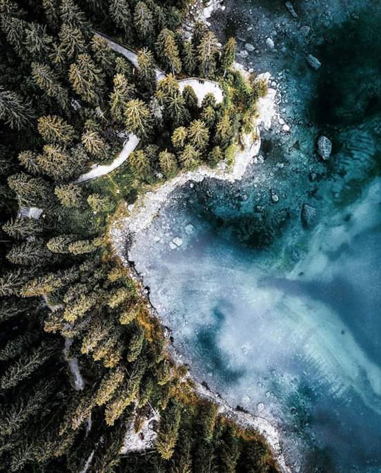 nature