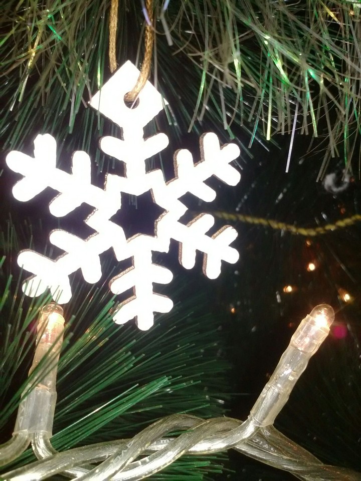 The snowflake
