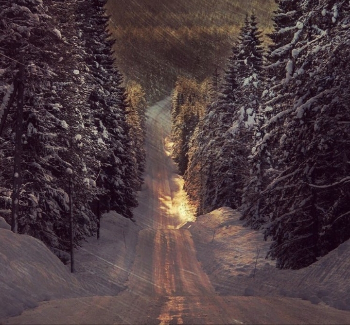 winter
