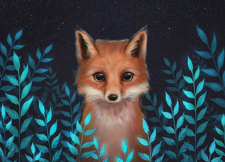 Fox