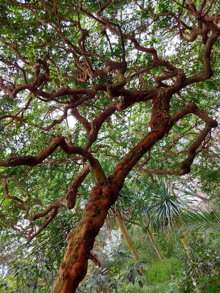 Botanical Garden 4