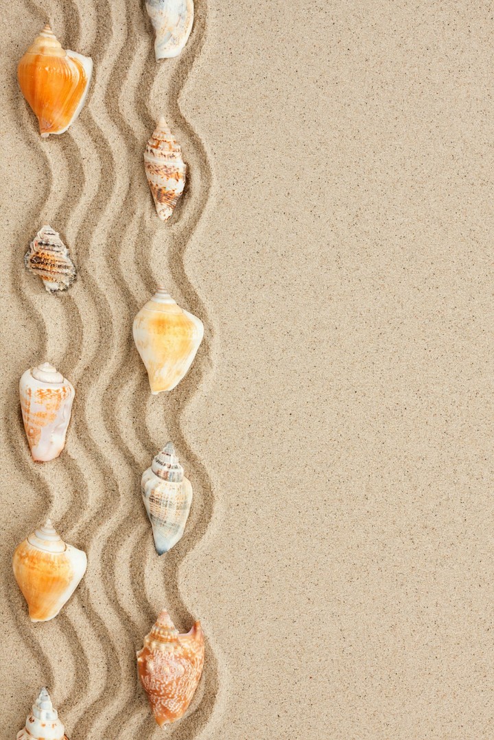 sea