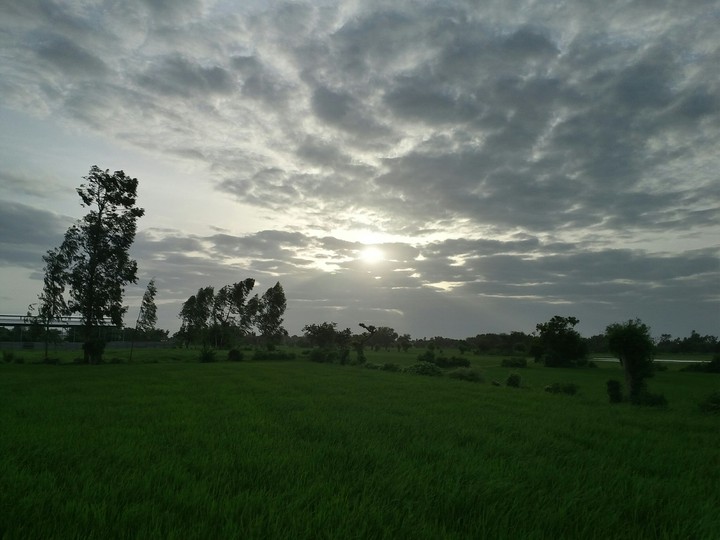 Evening at a farm 3