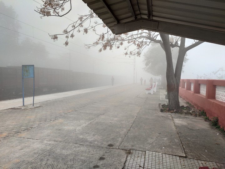 Foggy