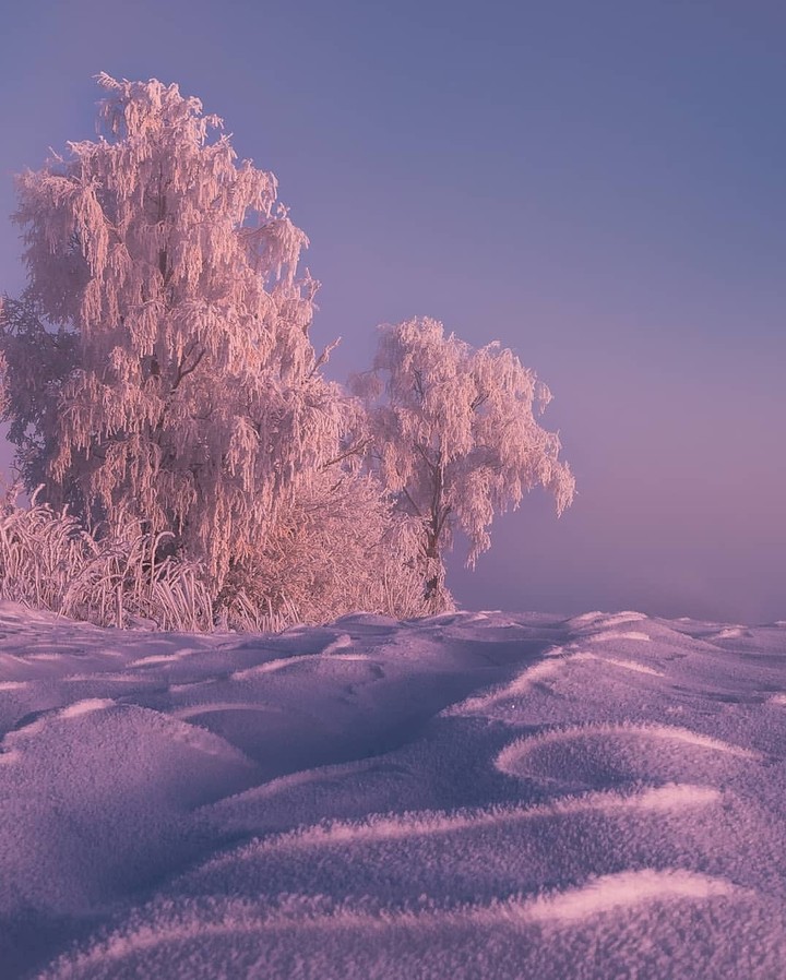 Winter