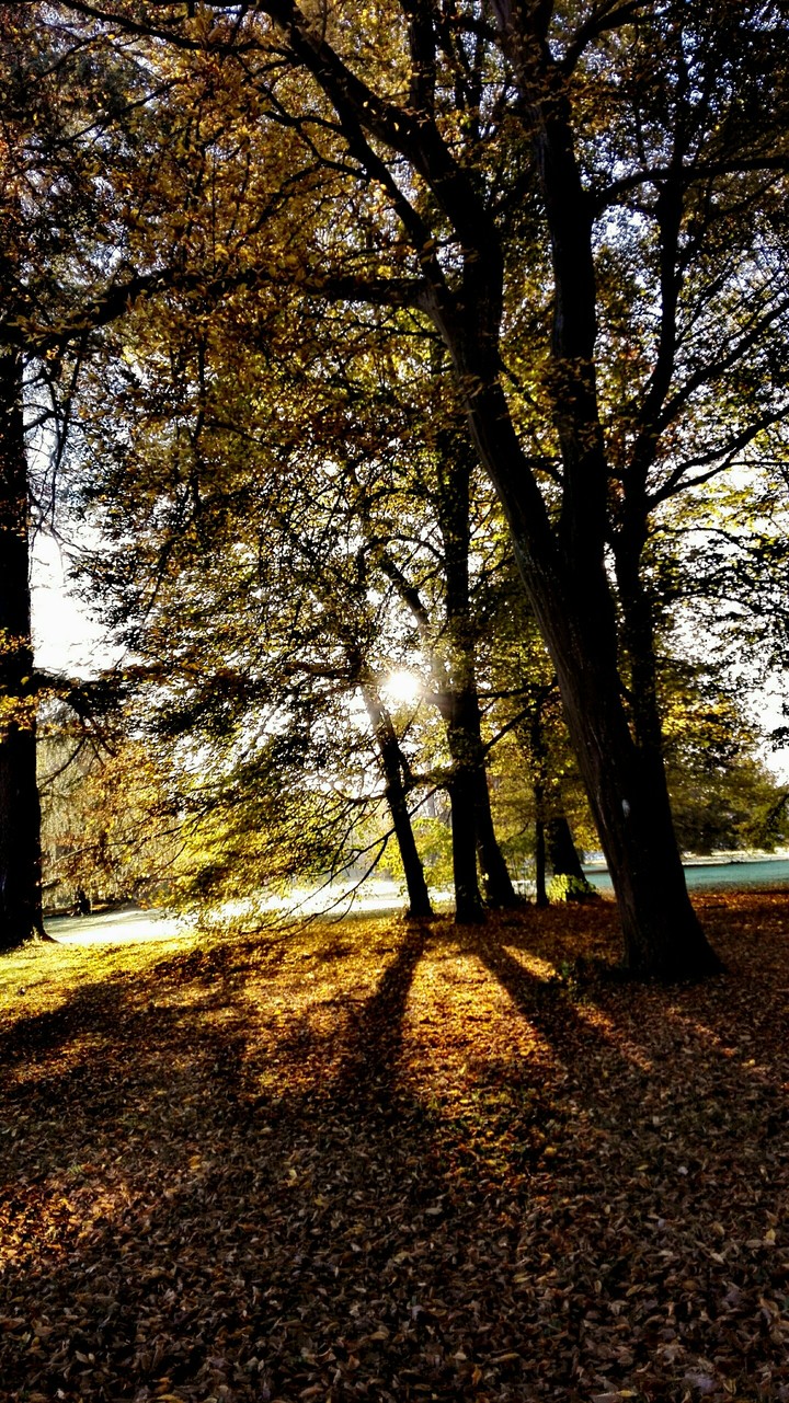 La douce lumière d'un matin ensoleillé