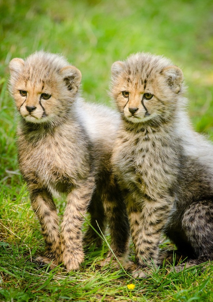 so cute...