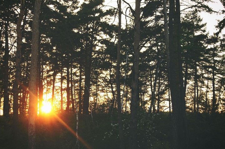 nature