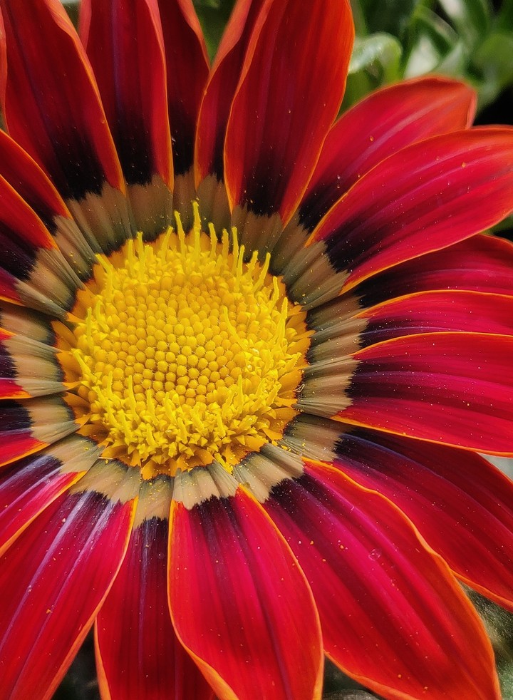 Nature's beauty even among the smaller things