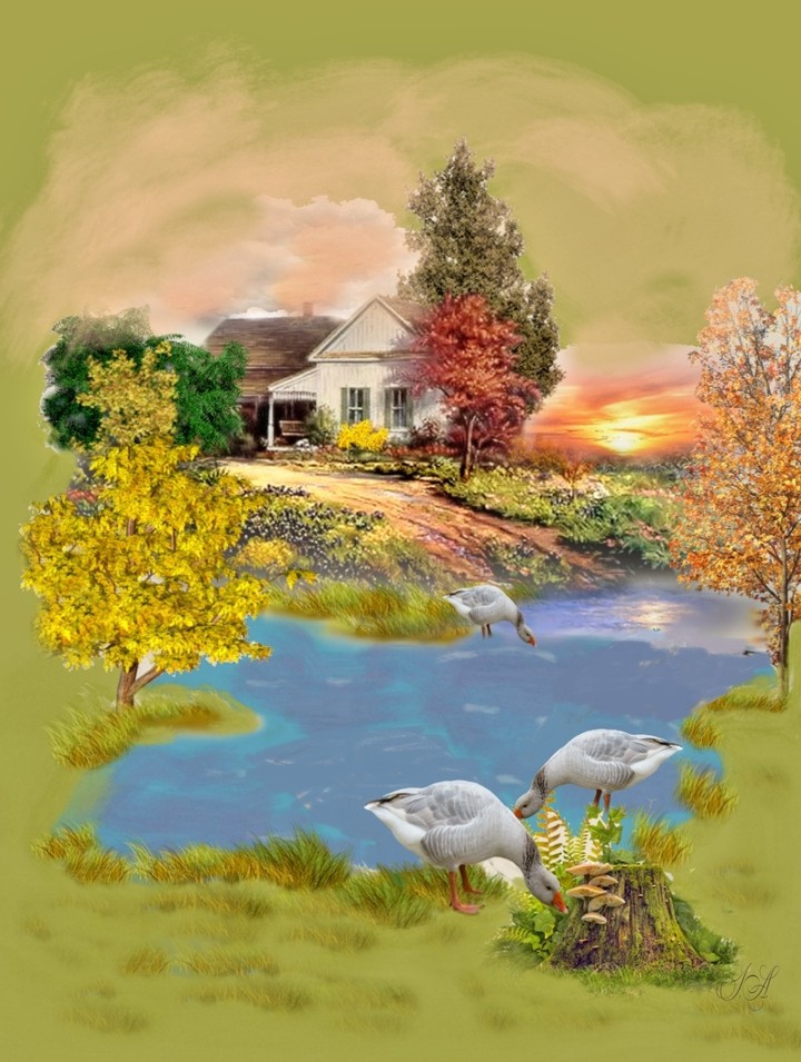 #irada_art   #village