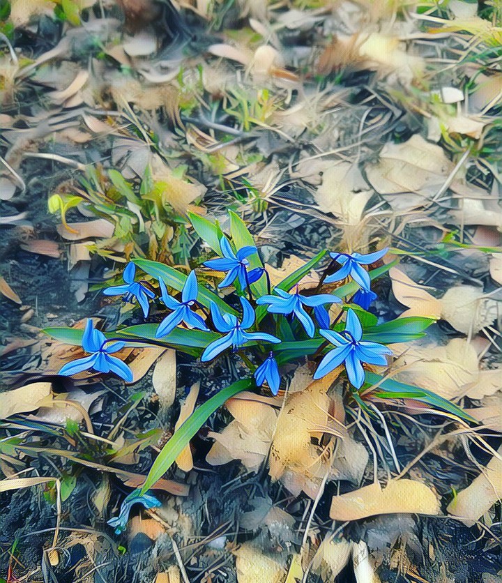 весна пришла