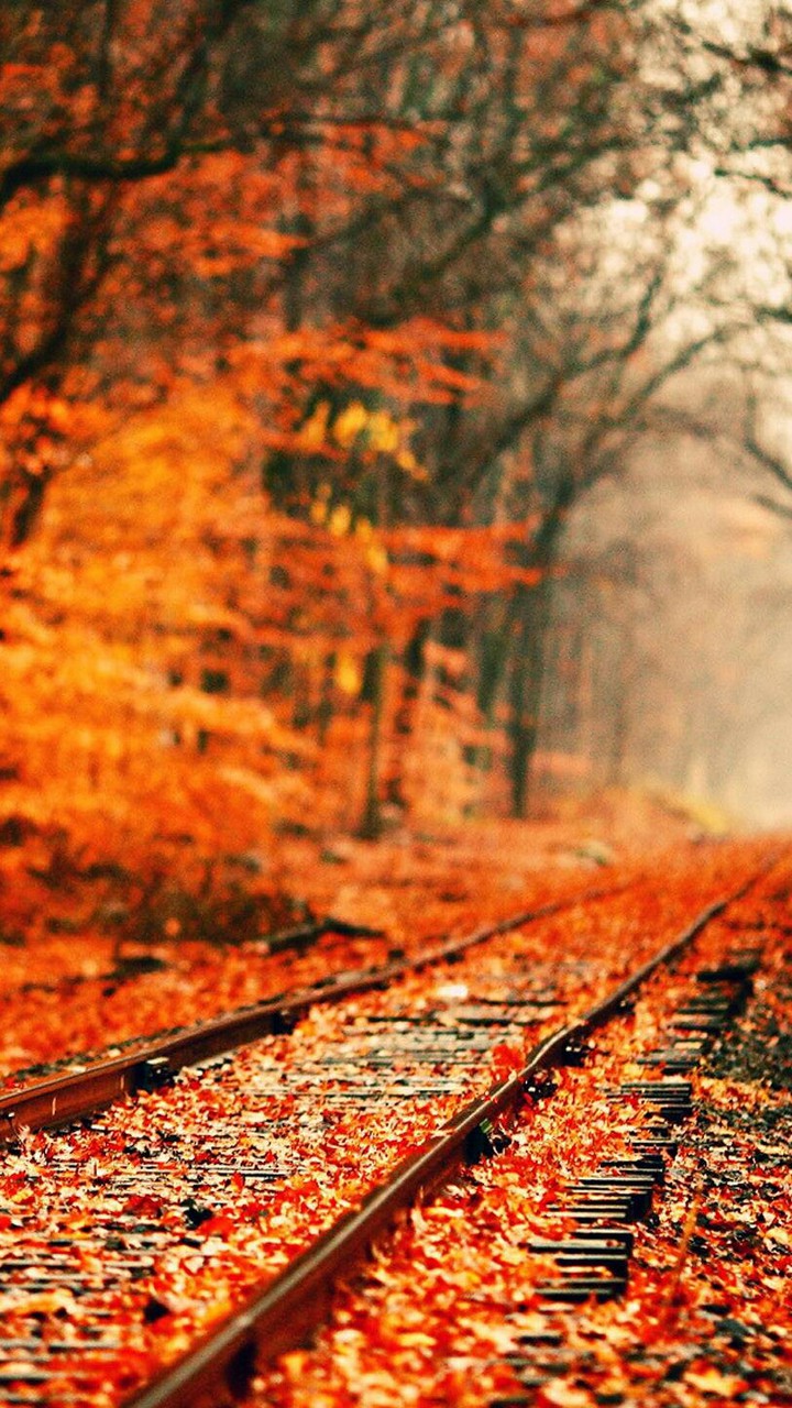 autumn