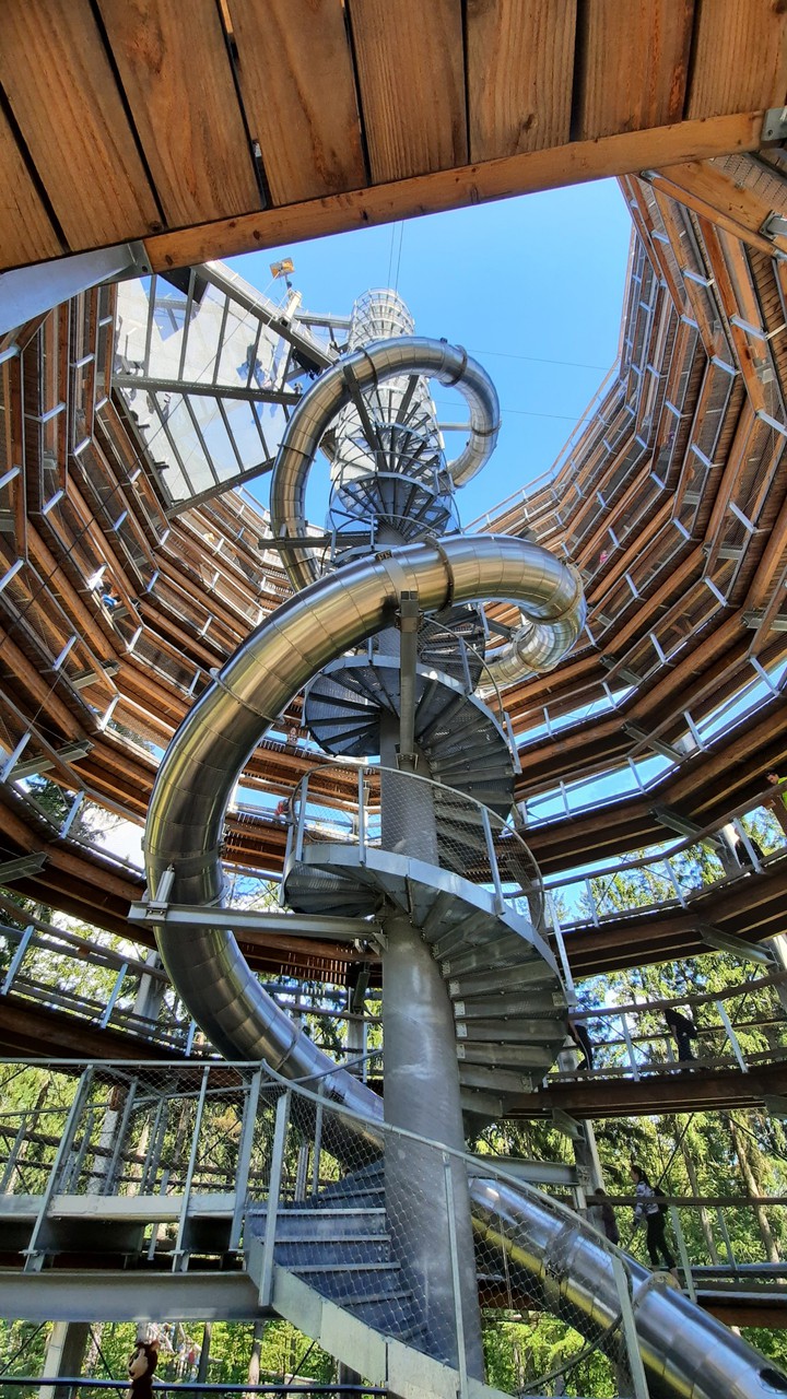The Tree Top Walk