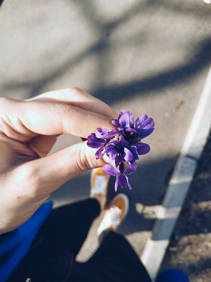 flovers