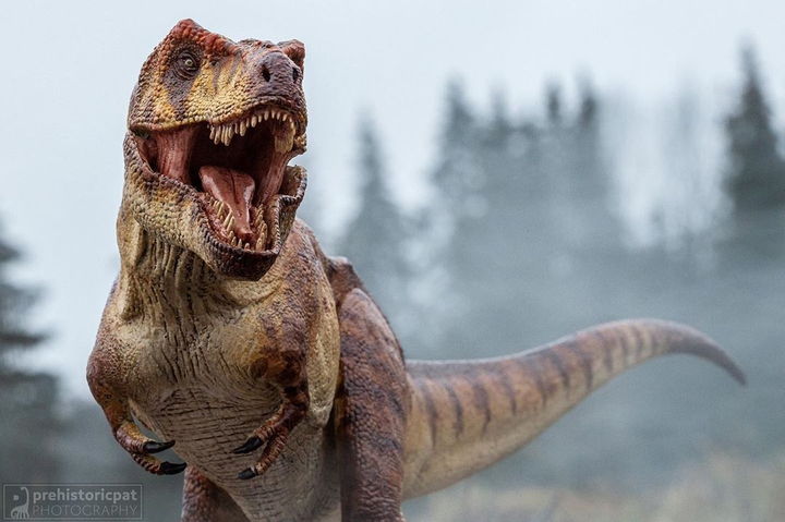 T-Rex