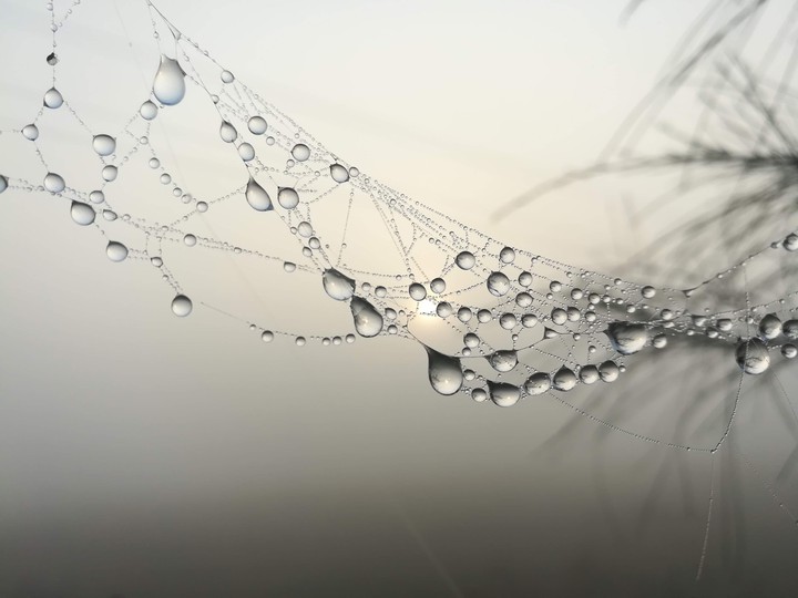 Foggy Necklace