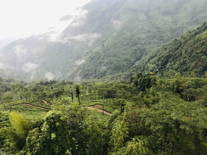 Darjeeling