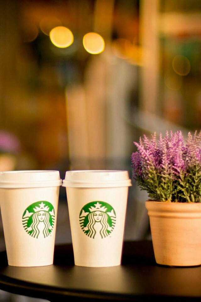 Two Starbucks Coffee beside a Lavender Flower
