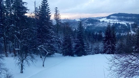 Zima Winter