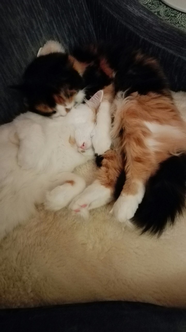 :-)