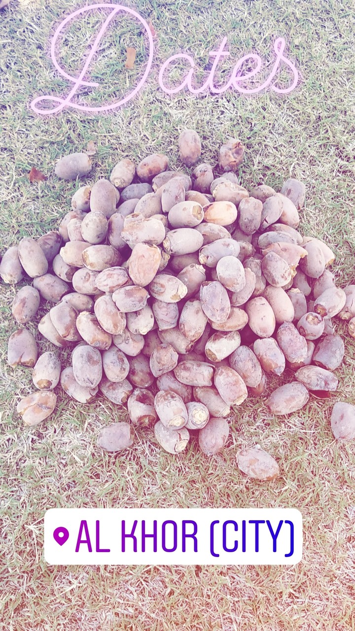 dates