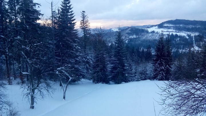Zima Winter