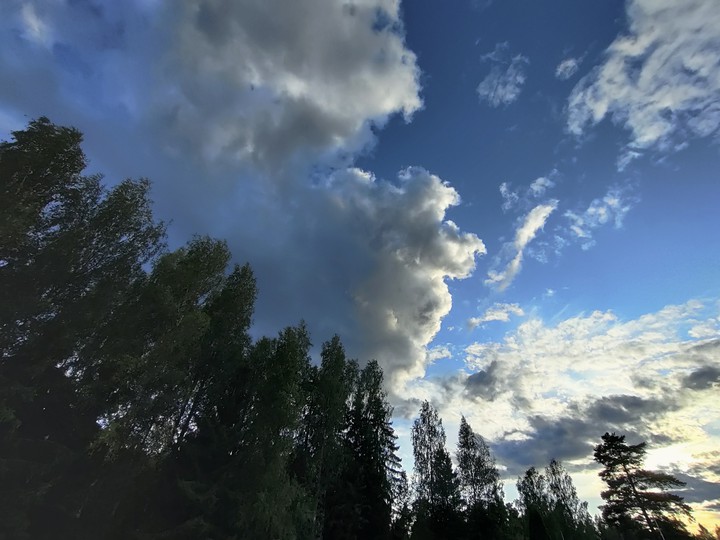 Sky