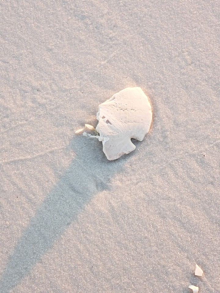 beaches