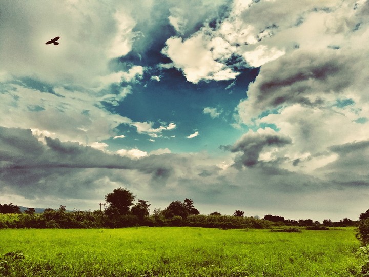 clouds