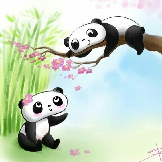 panda