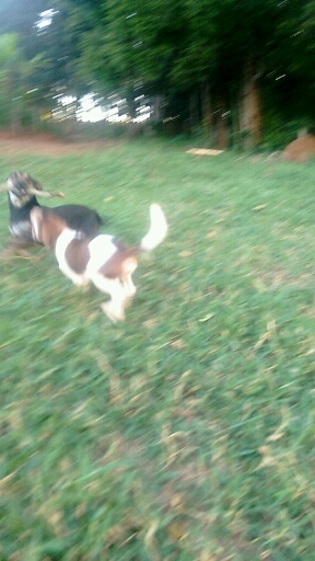 fofinho né!!