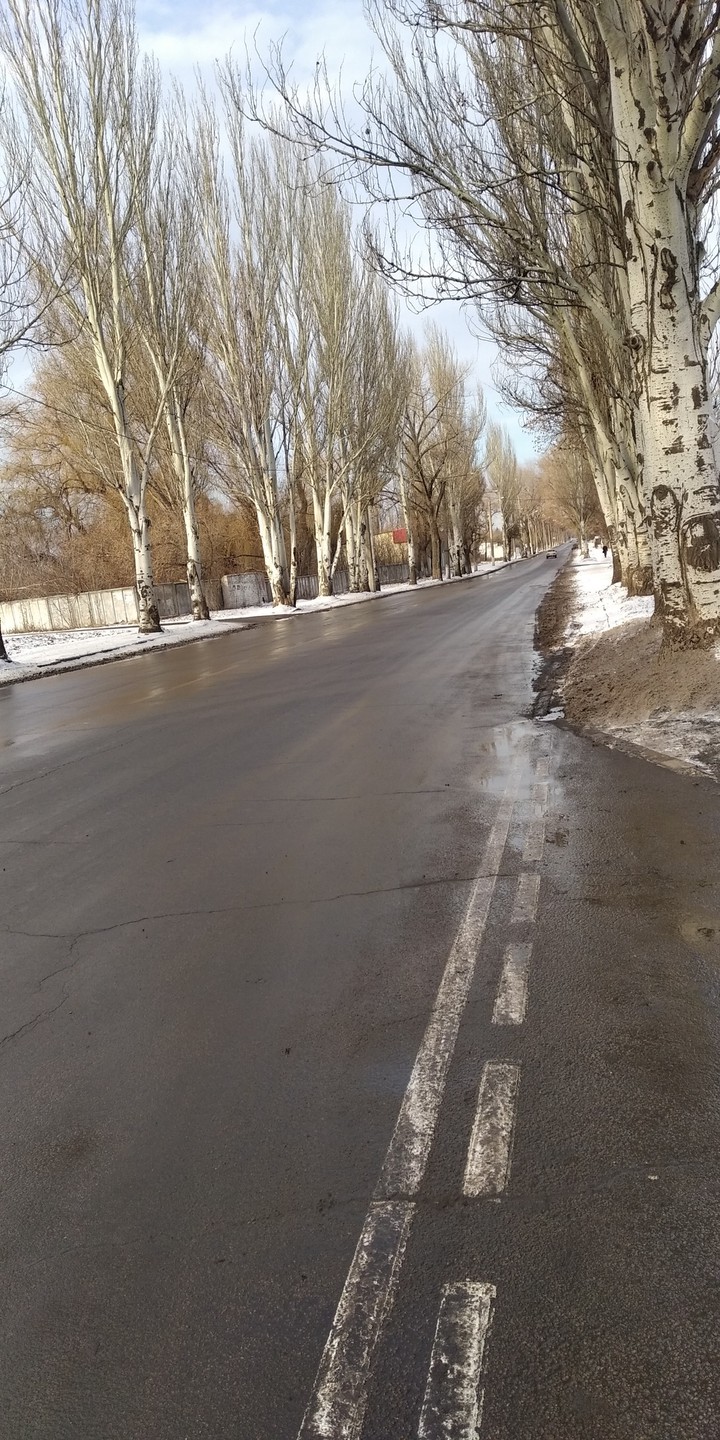 зима