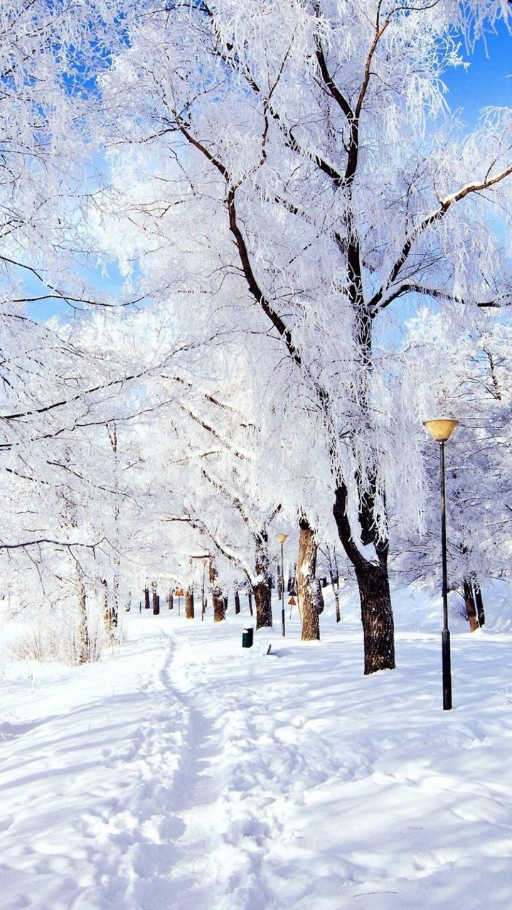 winter path