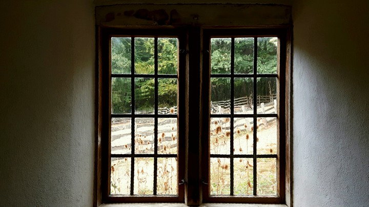 Fensterausblick im Herbst