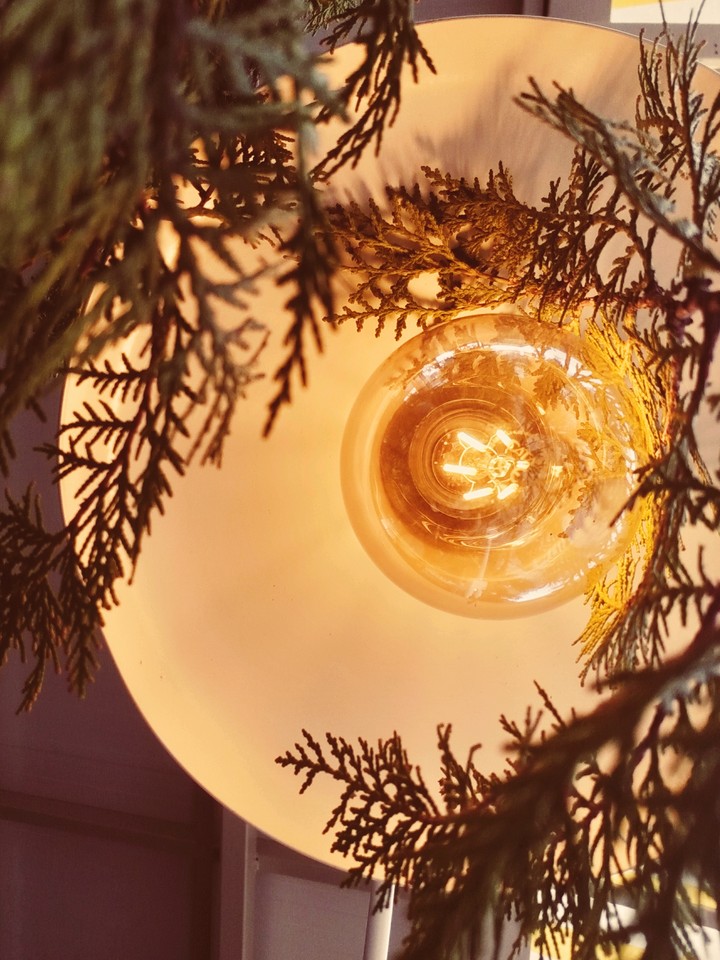 lamp