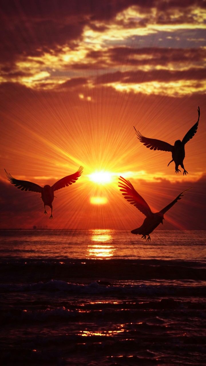 Sun set