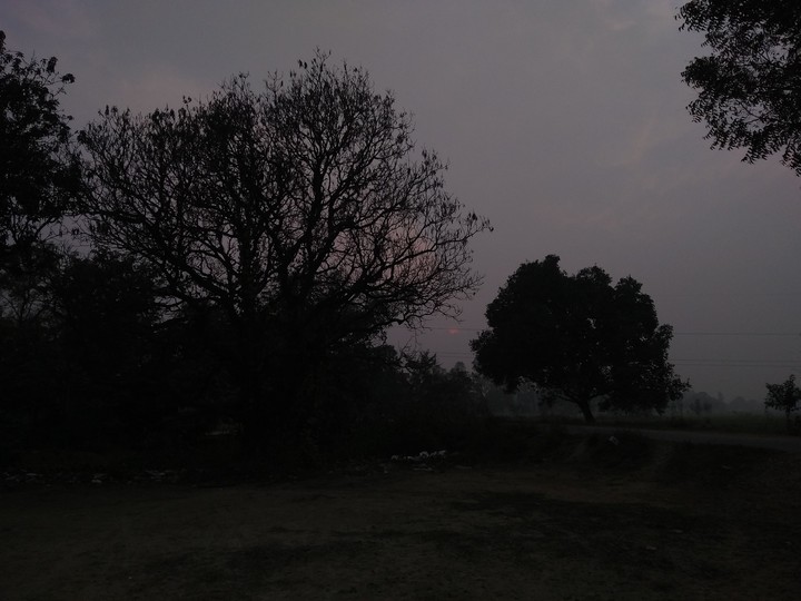 Evening