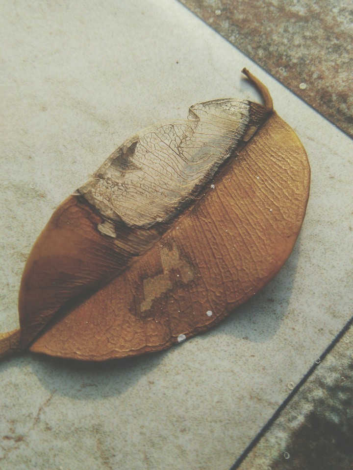 Autumn