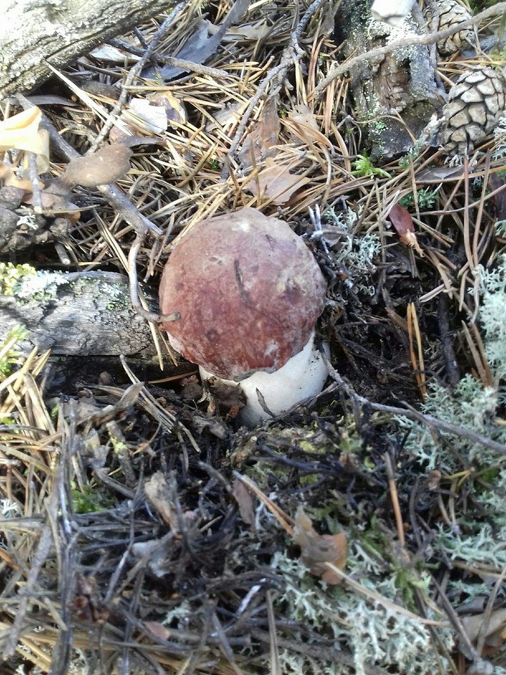 ?