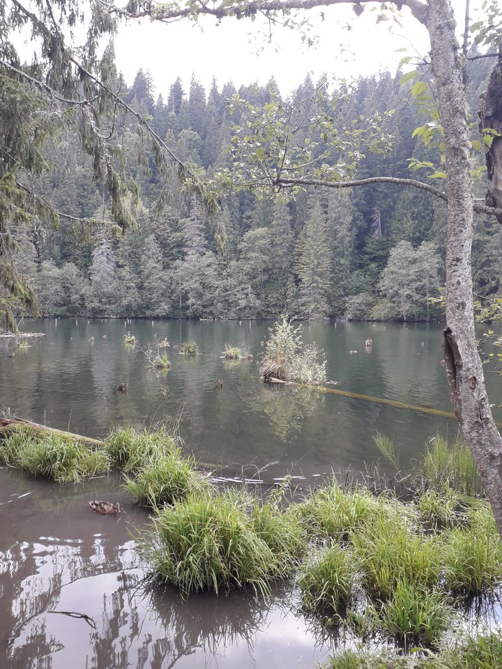 lake