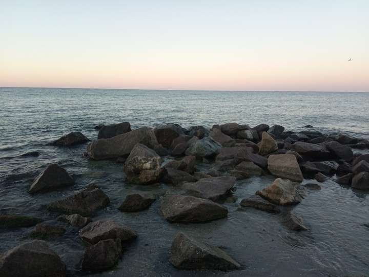 морькО