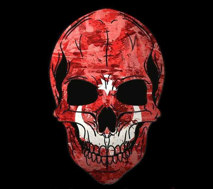 Turkey Skull