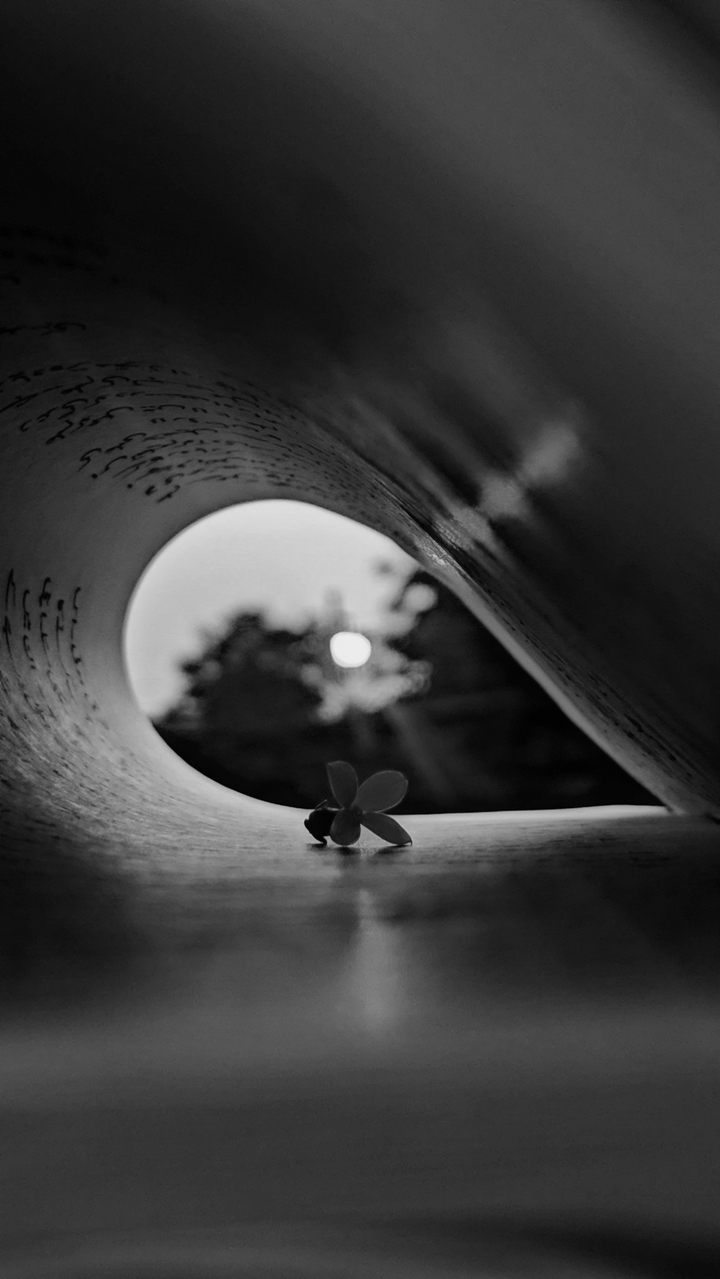 black and white