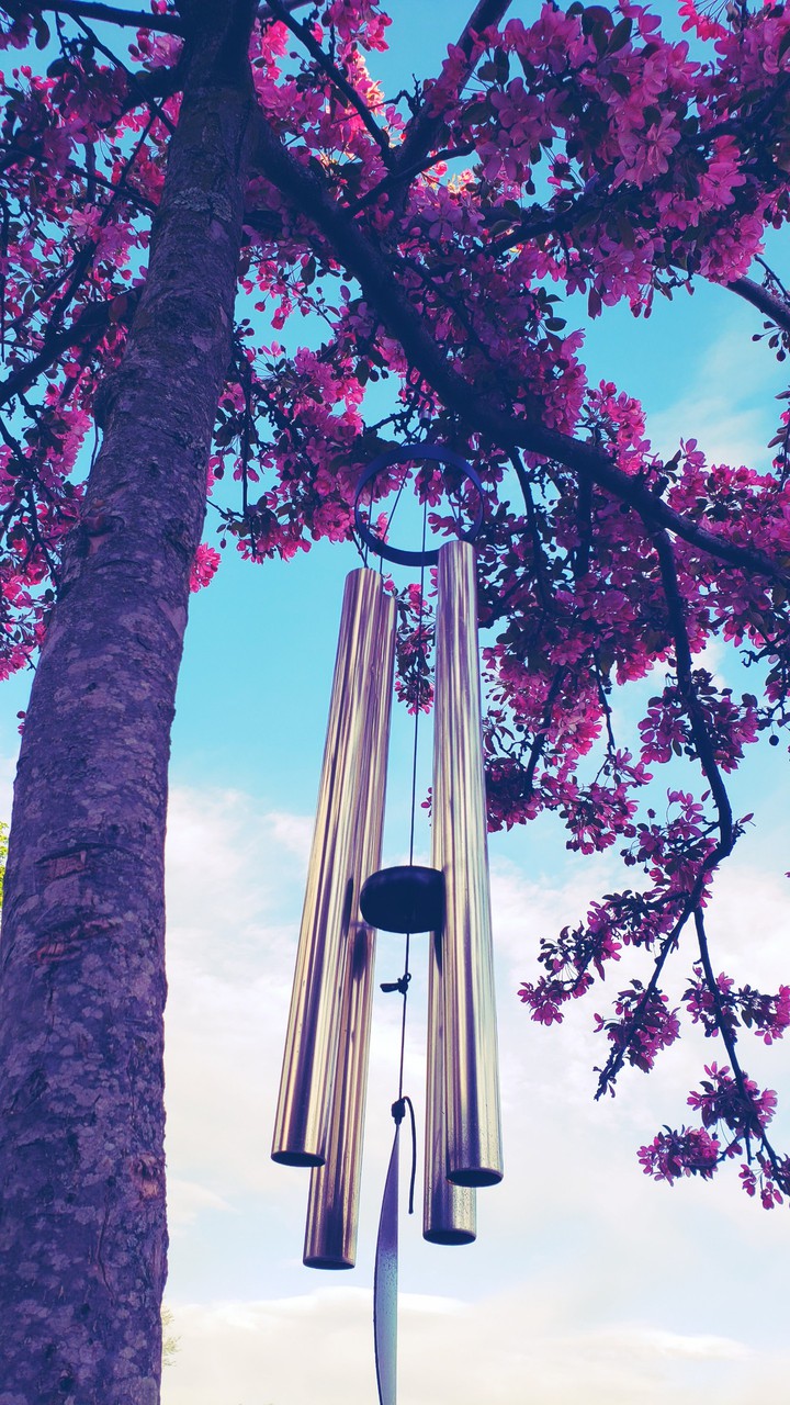 wind chimes