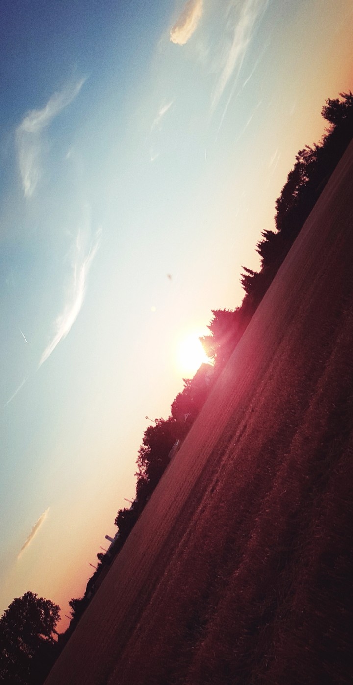 Shine