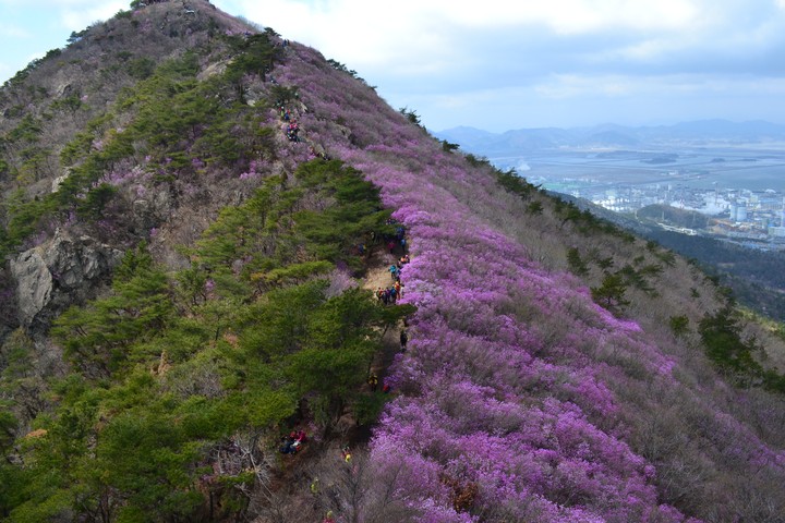 영취산이미지