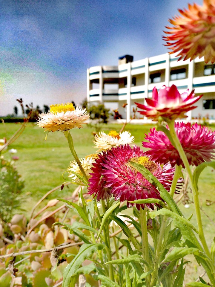 Taken by Me