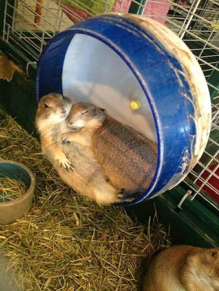 ☺