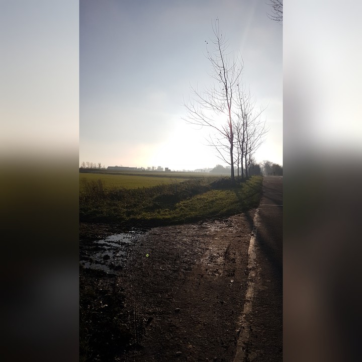 buiten